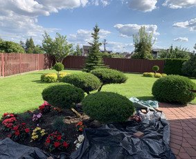 krastovaizdzio-projektavimas-irengimas-augalai